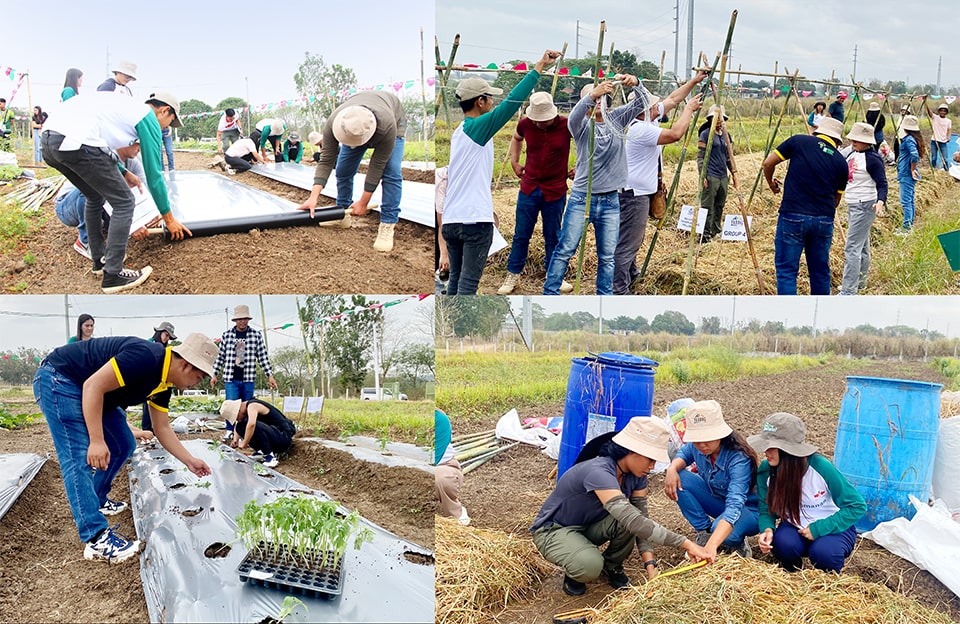 YABONG participants perform hands-on training on cross-pollination, mulching, transplanting, trellising, pruning, and vine management.