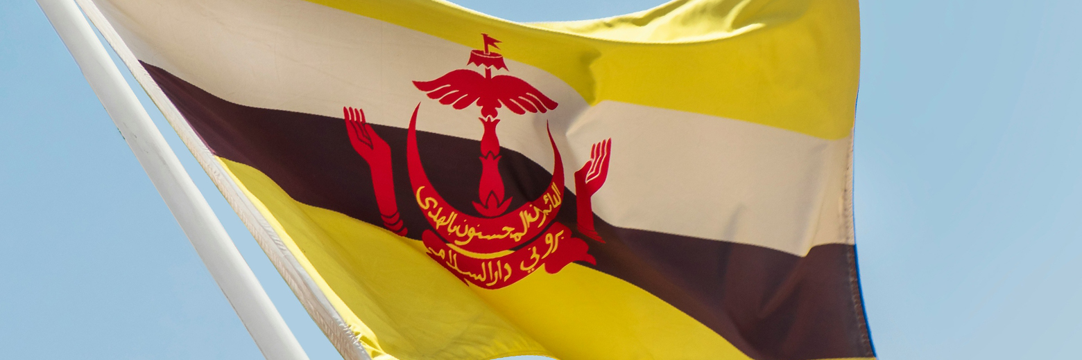 Selamat Hari Kemerdekaan, Brunei Darussalam!