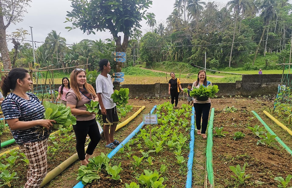 Sumucab Elementary School's garden