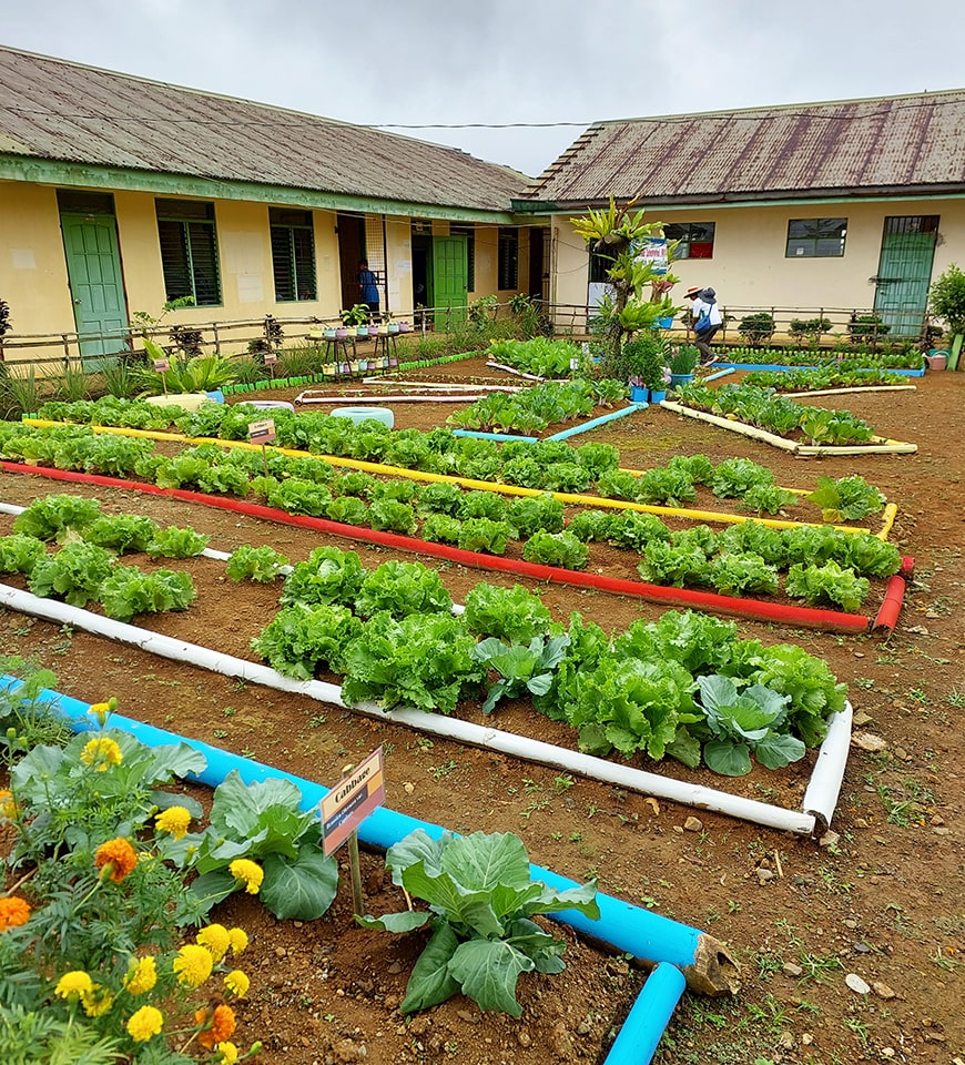 Calminue Integrated National High School's garden