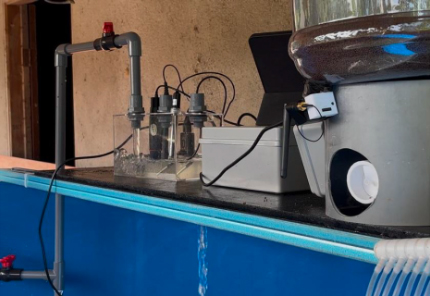 AI meets aquaculture: Smart fish feeder cuts labor and waste