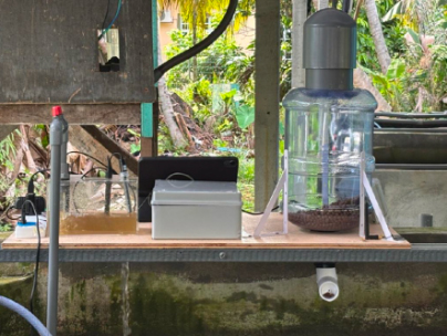 AI meets aquaculture: Smart fish feeder cuts labor and waste
