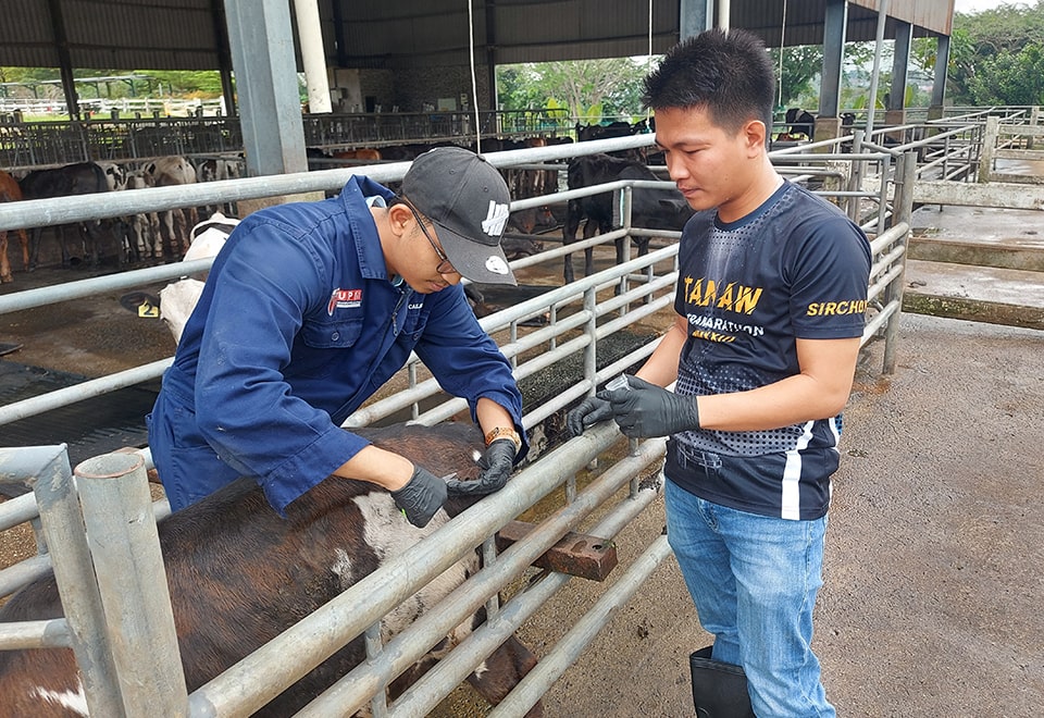 CapSU strengthens dairy research ties with UPM through SEARCA Faculty Mobility Grant