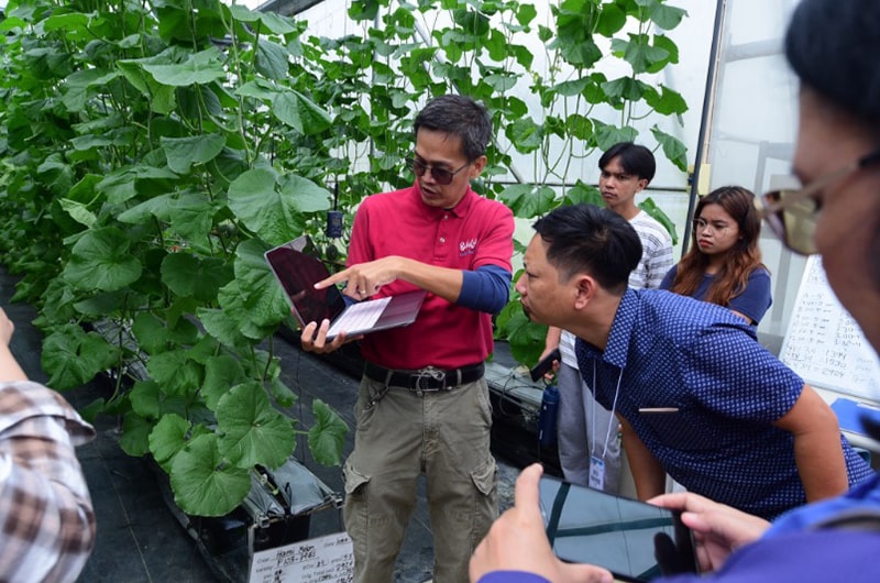 Mr. Michael Caballes, Bukid Amara's owner and chief farmer, shares their innovative and science-based agricultural practices in their farm.