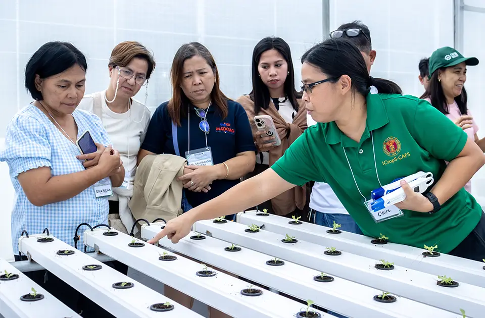 DepEd Laguna educators trained in urban farming for sustainability