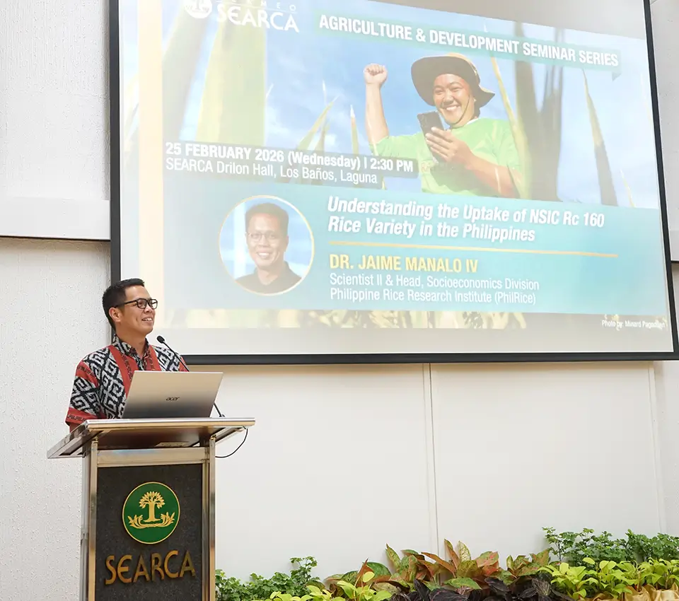 Divided priorities along rice chain stall progress of variety with export potential, study finds