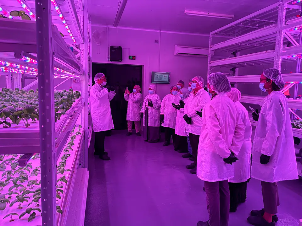 SEARCA TrAInS 2026 equips 19 research and extension professionals to advance agricultural innovation systems