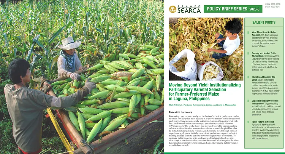 SEARCA policy brief urges participatory maize varietal selection beyond yield