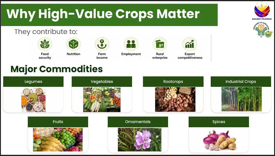 SEARCA seminar highlights climate-resilient farming and promising Philippine ube varieties