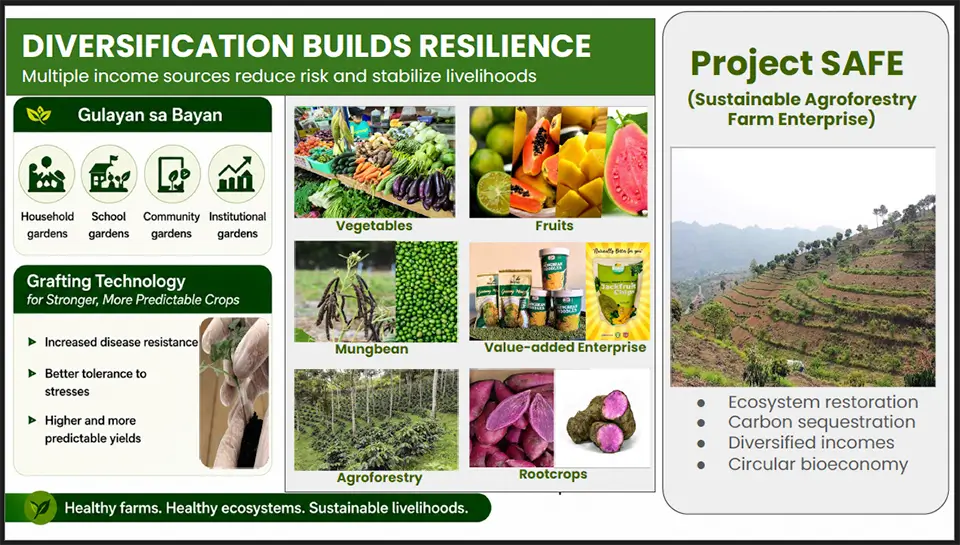 SEARCA seminar highlights climate-resilient farming and promising Philippine ube varieties