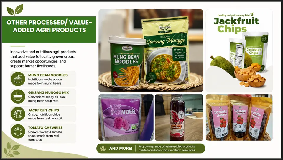 SEARCA seminar highlights climate-resilient farming and promising Philippine ube varieties