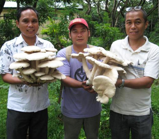Revolutionizing Agriculture: The Science and Art of Mushroom Farming with CLSU'S Dr. Renato G. Reyes