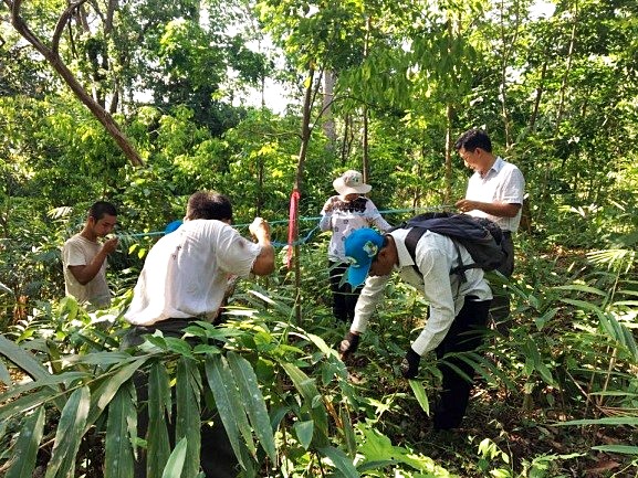 Assessment of resource availability in Kayin State. 