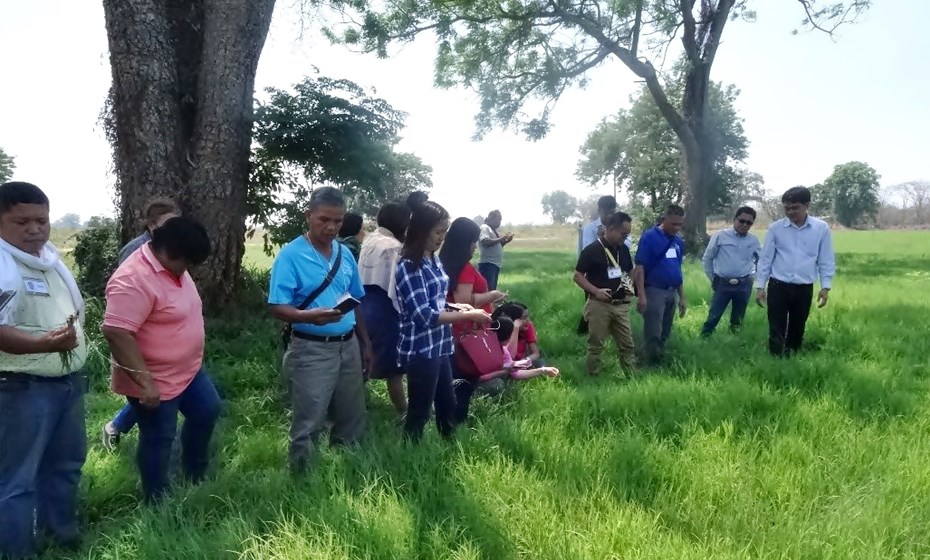 Staff of the Nakorn Ratchasima Animal Nutrition and Research and Development Center in Pakchong accompanied the participants to observe their forage plantation.