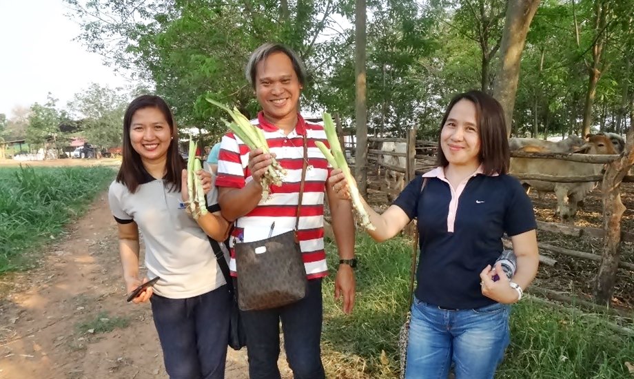 Participants show samples of sweet napier grass they collected from a farm in Kalasin Province. (L-R): Ms. Ma. Theresa R. Sawit, Senior Science Research Specialist and National CBED Coordinator; Mr. Matt Daniel B. Peralta and Ms. Rebecca Ruby G. Gabriel, Science Research Specialist I and II, respectively, PCC at Central Luzon State University.
