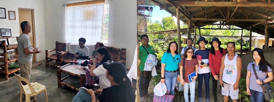 The project team conducted interviews to gather preliminary data with nursery operators and processors in Oriental Mindoro.