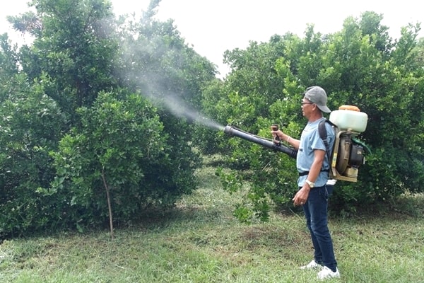 Actual demonstration of using the mist blower for fertilizer and pesticide application.