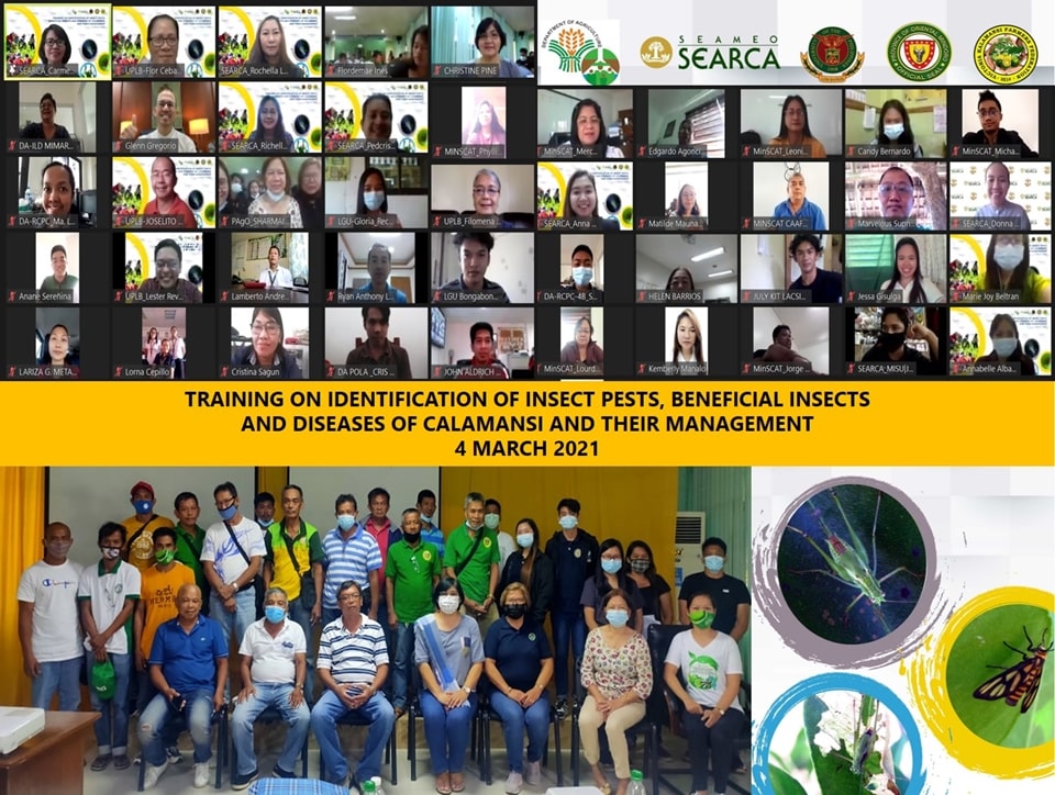 Participants and key stakeholders of the calamansi industry in Oriental Mindoro.