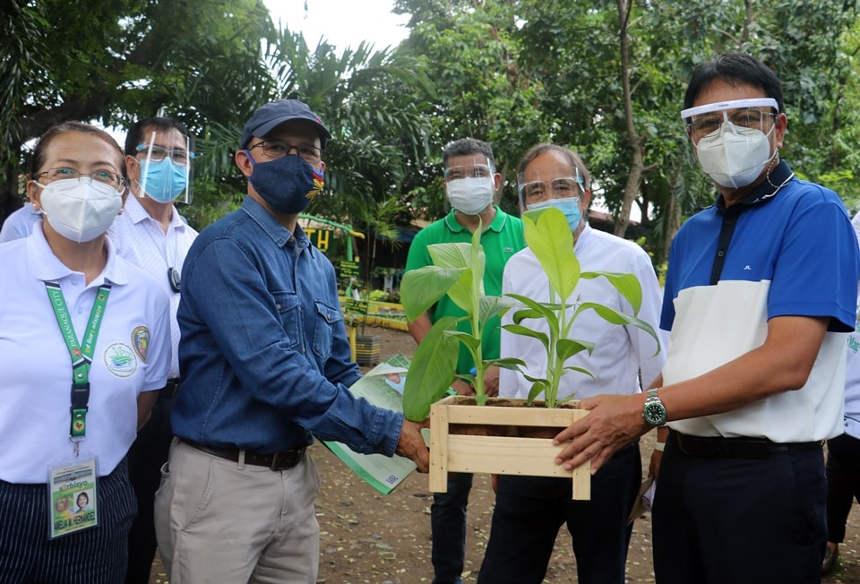 Dr. Gregorio presents a tissue culture-derived Banana Lakatan variety to Parañaque Mayor Olivarez (rightmost). Also in the photo are Mr. Manuel S. Alejar (second from right), SEARCA Liaison for Community Relations; Ms. Amelia M. Hernandez (leftmost), Officer-in-Charge of CAFASO; Mr. Mar Jimenez (second from left), Chief of the Public Information Office (PIO); and Barangay Captain Noel Haplos, all of the City Government of Parañaque.