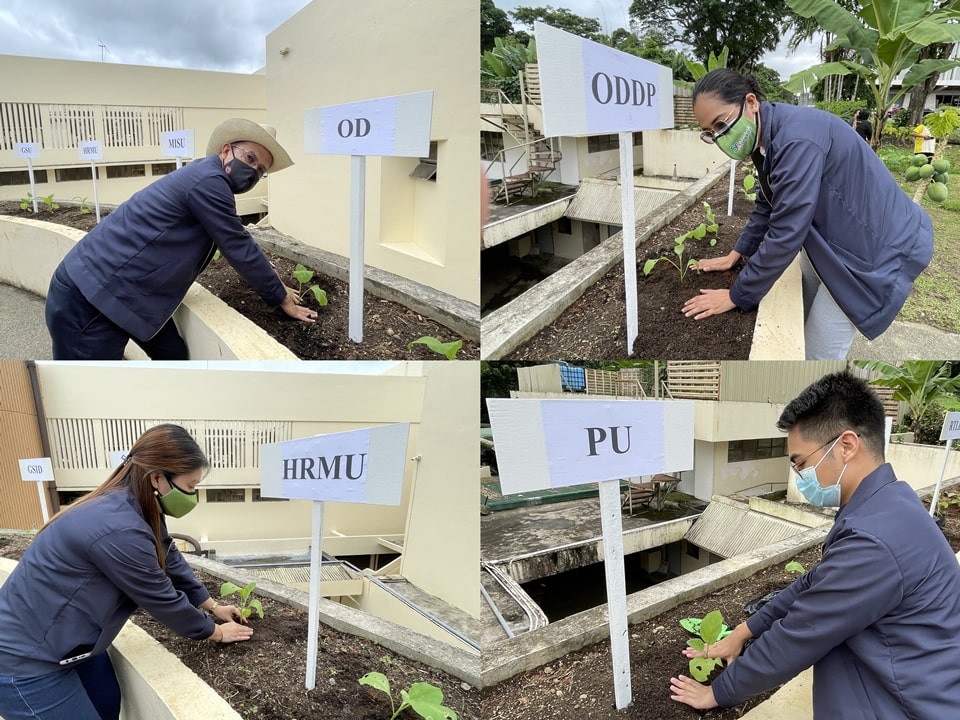 Dr. Gregorio (top left) together with the SEARCA representatives who joined the vegetable planting activity.