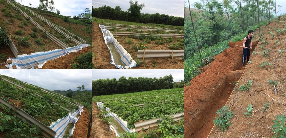 Dr. Trung’s on-farm erosion experiment in 2018.