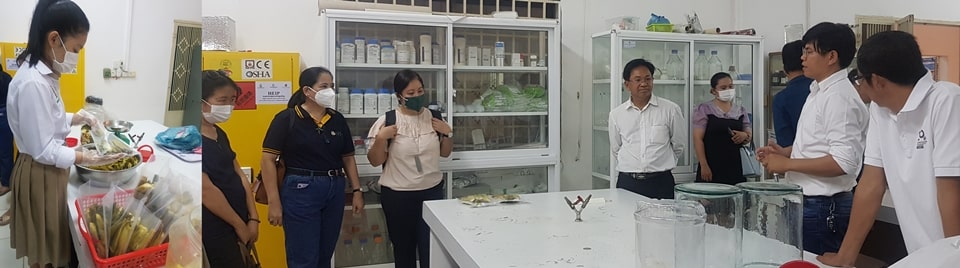 The SEARCA Team also visited the facilities of RUA’s Faculty of Agro-Industry. Left photo shows a student packing fermented mustard, which serves as one of their income-generating activities.