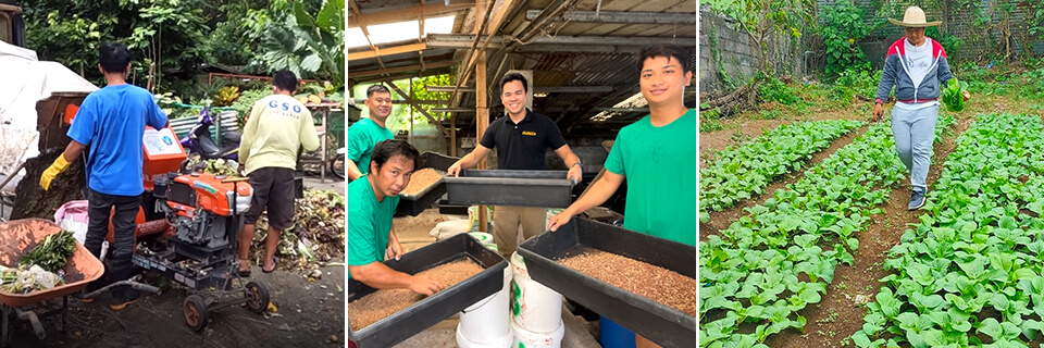 The Insiklo bioconversion facility rears black soldier fly larvae that convert organic waste into animal feed and compost for crop production.