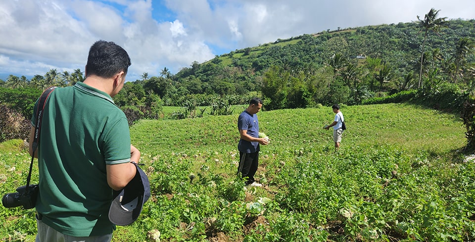 Liliw farmers reimagine agriculture with SEARCA pilot project on digital agriculture