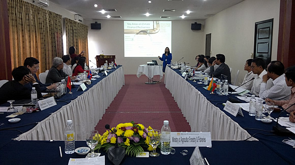 Dr. Bessie M. Burgos, Acting Program Head of Research and Development Department of SEARCA, presents information on financing CCA during the 10th Policy Roundtable in Phnom Penh, Cambodia.