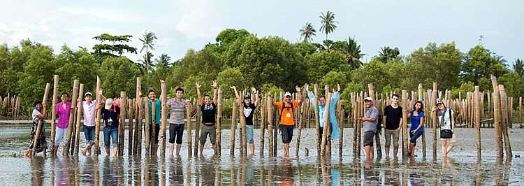 Photo above shows some of the 2nd ASFCC Learning Group Workshop participants posing between bamboo poles built as a fence by the local community to increase the survival rate of young mangrove seedlings and thereby build coastal resilience and reduce storm surge in Klong Prasong Community Forest, Krabi, Thailand.
