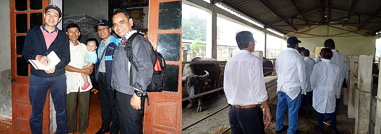 (L-R): PCC officials visit a farmer’s home in a village in Thai Nguyen Province to get acquainted with his livestock management system. Later during the day, they visited the Buffalo Research Station, which is under the supervision of the Northern Mountainous Livestock Research and Development Center of the National Institute of Animal Husbandry.