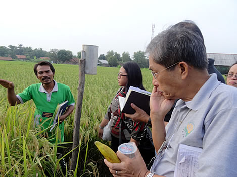 One of the farmers of the Indramayu Rainfall Observation Club demonstrates how he takes rainfall measurements on a daily basis using a cylindrical rain gauge for which the depth of rain fallen can be determined with a simple dipstick.