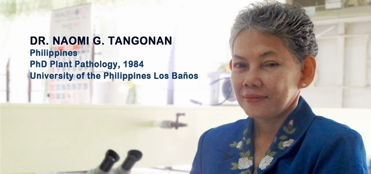 tangonan hailed as searca outstanding alumna in teaching