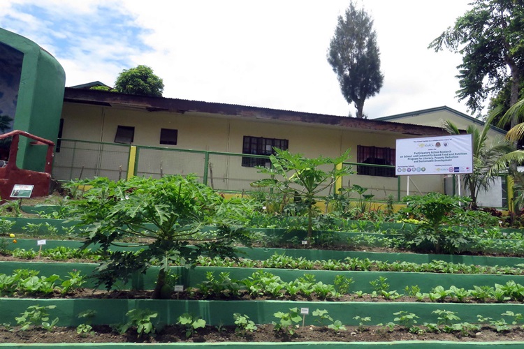 school and home gardens as learning sites and source of nutritious food and income launches in laguna philippines 5