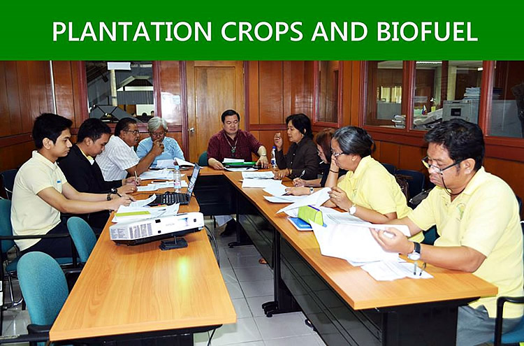 The participants from Plantation Crops and Biofuel group [br] (SOURCE: DA-BAR)