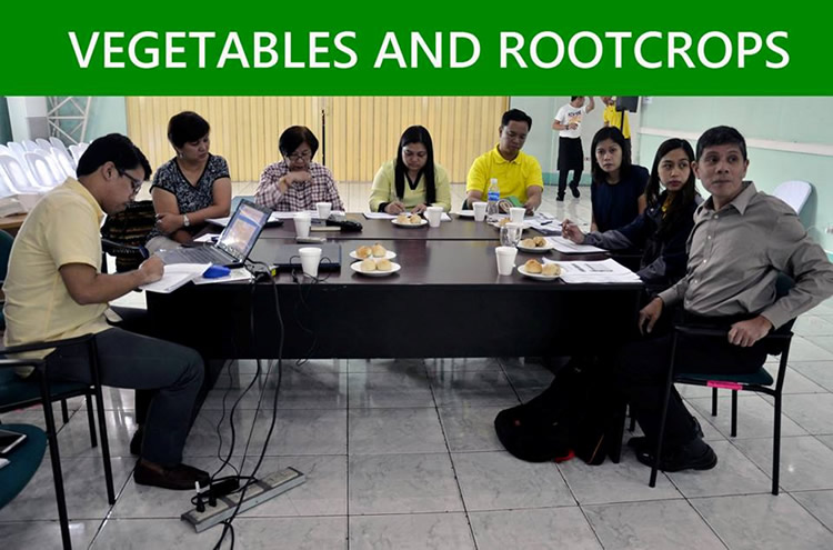 The participants from Vegetables and Rootcrops group [br] (SOURCE: DA-BAR)