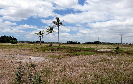 Uncultivated rice fields in Santa Barbara, Iloilo due to rehabilitation of irrigation system and suffering from nationwide drought.