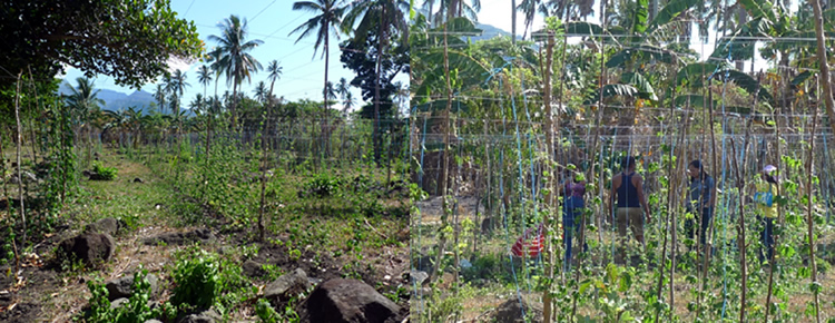 The project team inspecting the demo farm in Barangay Concepcion Banahaw, Sariaya Quezon .