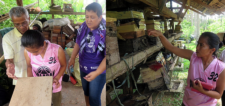 Project leader Dr. Dulce J. Mostoles and bee farm owners explaining cultural management practices of stingless bees in Casiguran, Sorsogon