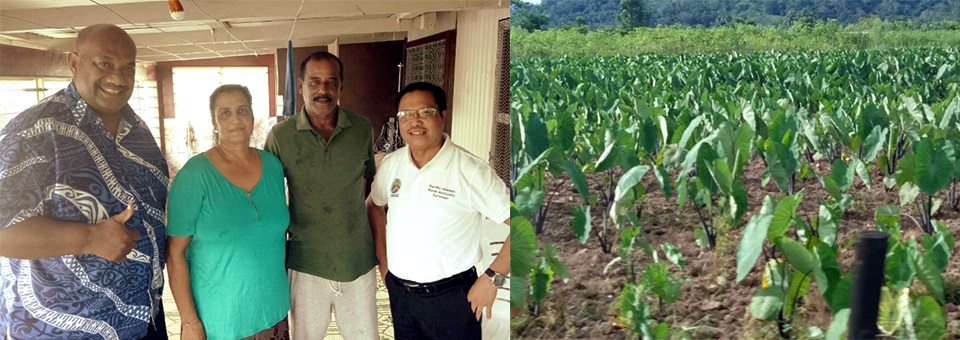 Visit of Director Jone Sovala and Dr. Lope B. Santos III to farming community and taro plantation in Suva, Fiji on 9 February 2018.