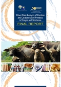 Download the final report