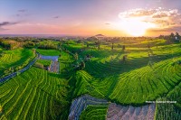 SEARCA and partner SEAMEO centers secure grant to develop regenerative agriculture micro-credential