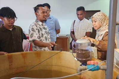 AI meets aquaculture: Smart fish feeder cuts labor and waste