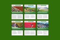 SEARCA policy briefs tackle climate and inclusion in Southeast Asian agriculture