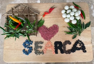SEARCA community cultivates love for nutritious food and a healthy living environment