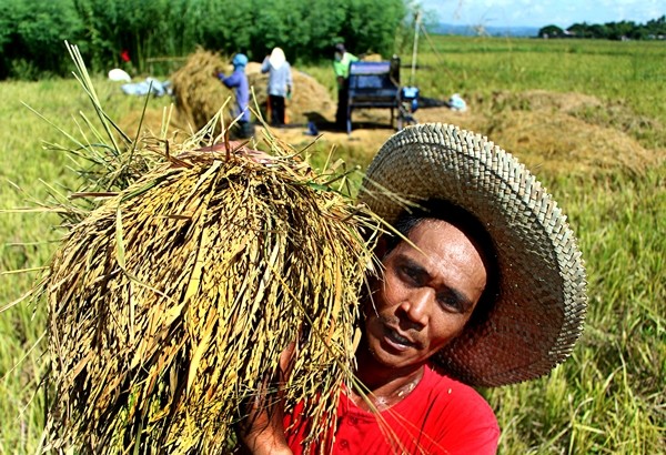 Statement on the First Quarter of 2021 Philippine Agriculture Sector Growth Performance