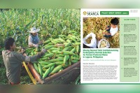 SEARCA policy brief urges participatory maize varietal selection beyond yield