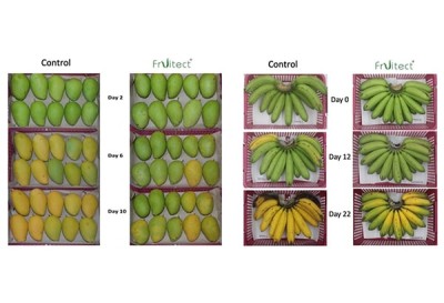 New company drives technology to preserve fruit freshness