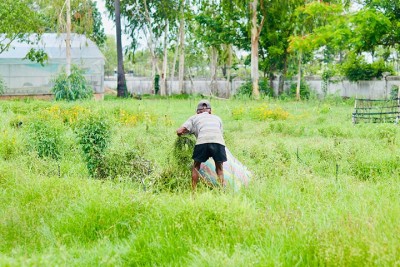 SEARCA holds baseline assessment workshop and M&amp;E of school gardens in Cambodia