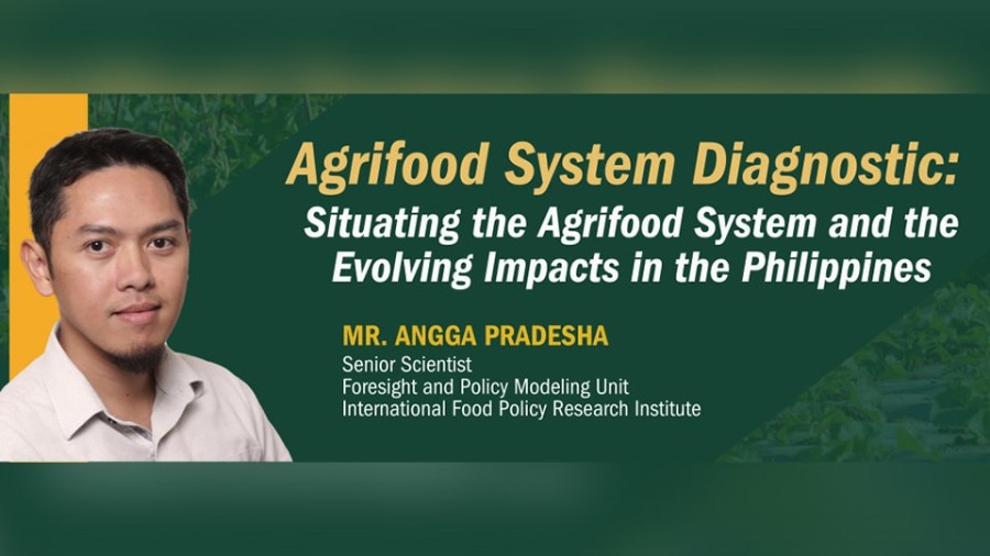 Agrifood System Diagnostic: Situating the Agrifood System and the Evolving Impacts in the Philippines
